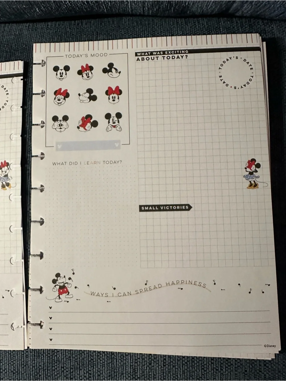 Disney Happy Planner happy planner